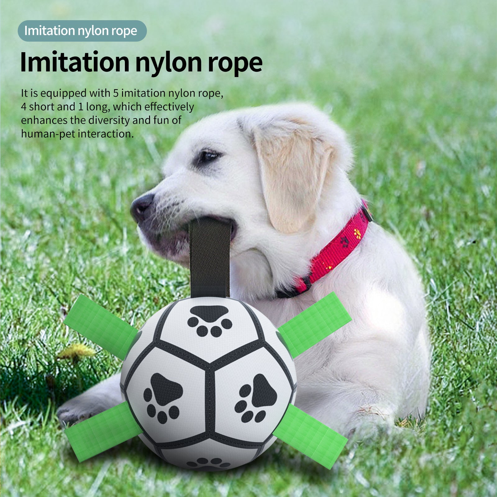 Interactive Dog Football Toy Soccer Ball Inflated Training Toy For Dogs Outdoor Border Collie Balls For Large Dogs Pet Supplies