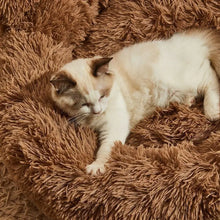 Bear Paw Cat Paw Kennel Dog Mat Autumn And Winter Cat Nest Double Silk Plush Comfortable Warm