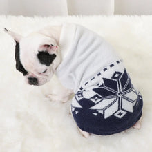 Dog Fashion Cat Dog Sweater Pet