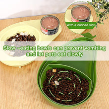 Dog Small And Medium Dog Avocado Automatic Drinking Water Feeder Dog Bowl Cat Bowl