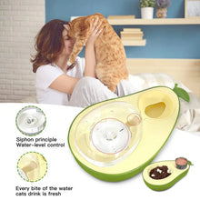 Dog Small And Medium Dog Avocado Automatic Drinking Water Feeder Dog Bowl Cat Bowl