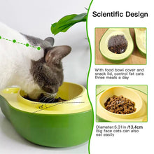 Dog Small And Medium Dog Avocado Automatic Drinking Water Feeder Dog Bowl Cat Bowl