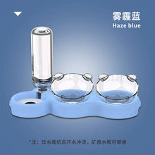 Pet Bowl  Plastic Dog Bowl Double Bowl Automatic Drinking Anti-Tipping Food Basin Pet Bowl