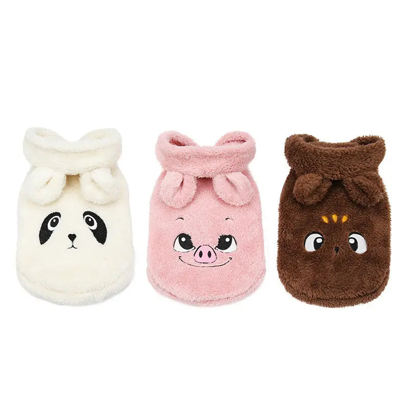 new-teddy-fighting-dog