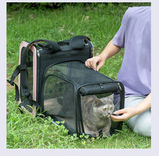 Transparent Pet Backpack Panoramic Breathable Pet Backpack Foldable Transparent Cat Bag Pet Bag