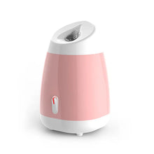 Vegetable Face Steamer Hot Spray Household Beauty Equipment Face Steamer Spray Moisturizing Instrument Face Facial Skin Care